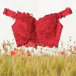 Renaissance Style, Cropped, Lace Top, Burgundy, Tag Size Tag (see pics)